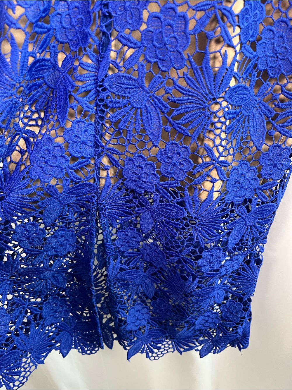 Bardot cobalt  blue Tayla overlay lace cocktail midi dress US SZ 8/M - Picture 9 of 10